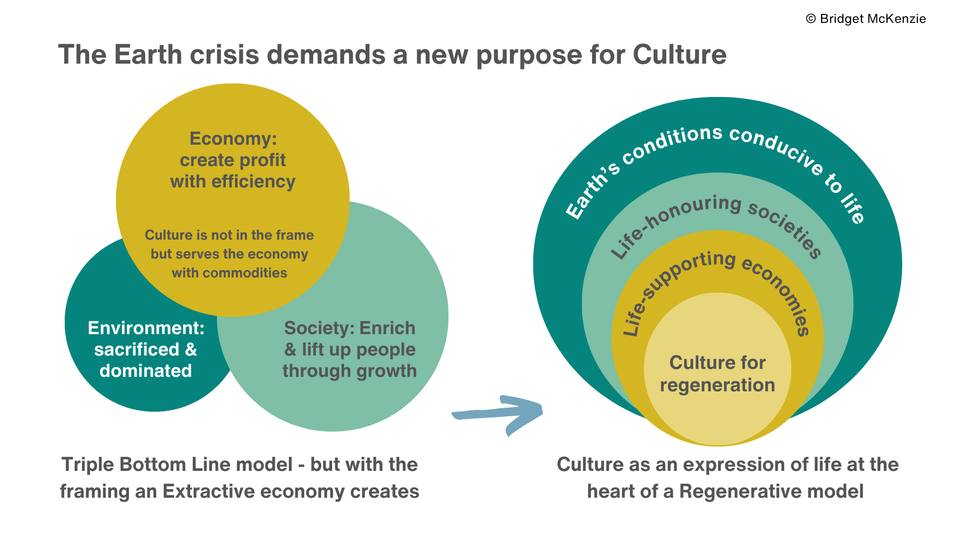 The Roles of Culture in Response to the Earth Crisis