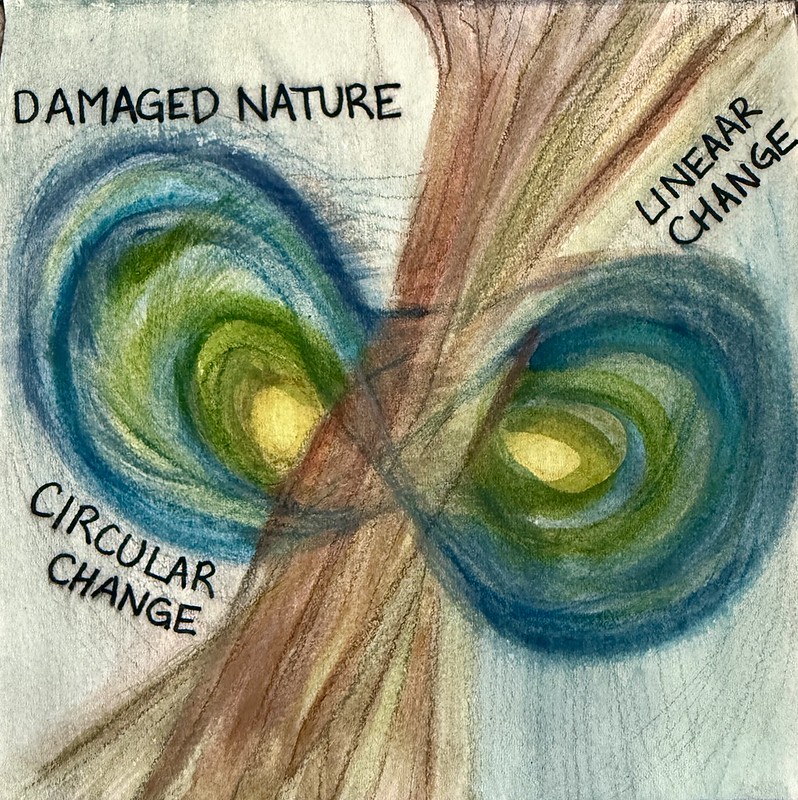 Remember Nature with imagination